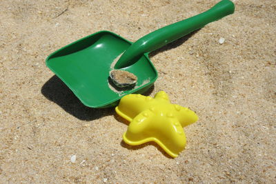 Close-up of yellow leaf on sand