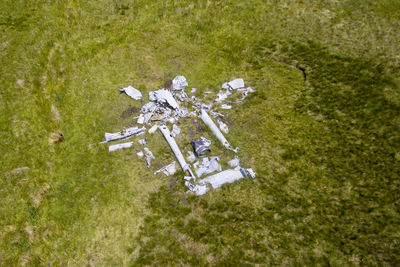 High angle view of stuffed toy on field