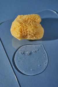 A natural sponge and a drop of gel or shampoo on a blue background.