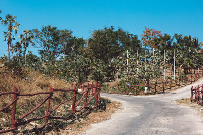 Trees growing by road against clear sky