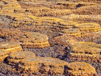 Mars like landscape in danakil depression, ethiopia.