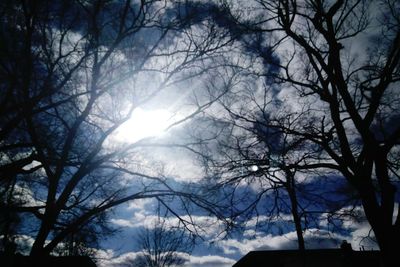 Low angle view of bare trees against sky