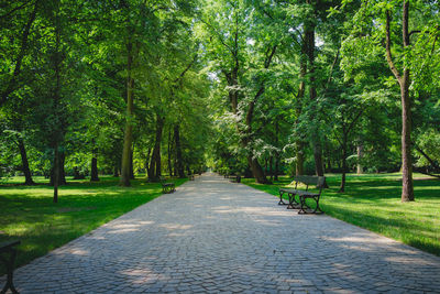 Empty bench in park