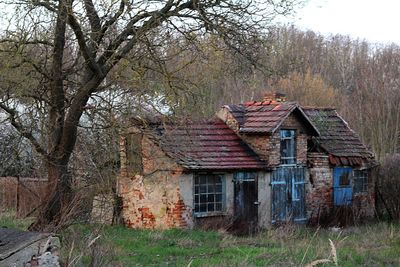 Abandoned house amidst trees on field in forest