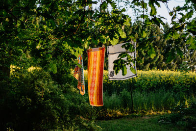 Colorful towels hanging to dry in a garden