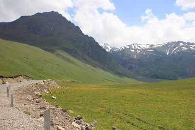 Scenic view of field against sky