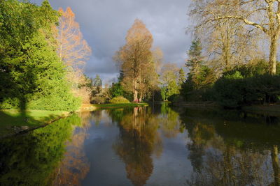 Scenic view of lake by trees against sky