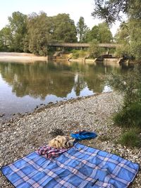 Man lying down on grass by lake