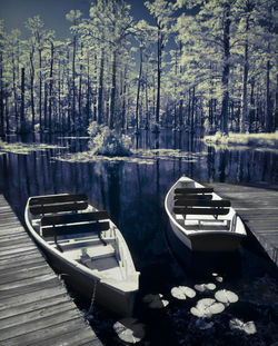 Boats moored on lake in forest