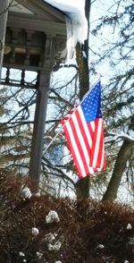 Low angle view of flag against snow covered trees