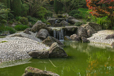 Scenic view of lake in forest