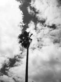 Low angle view of palm tree against cloudy sky