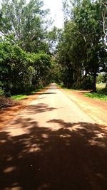 Empty road along trees