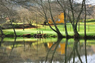 Scenic view of lake against bare trees