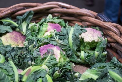 Close-up of cabbage in market