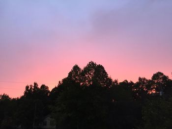 Silhouette of trees at sunset