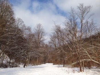 Snow covered landscape