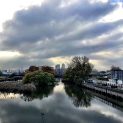 Reflection of trees in river against cloudy sky