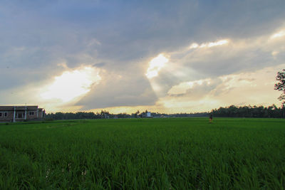 Scenic view of field against sky during sunset