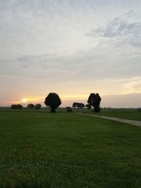 Scenic view of field against sky during sunset