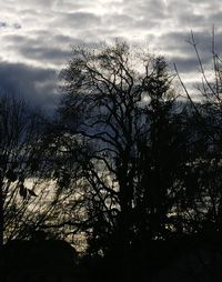 Silhouette of bare trees against cloudy sky