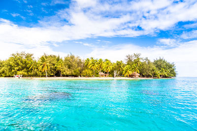 Scenic view of sea against blue sky