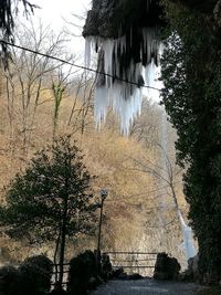 Bare trees by lake against sky