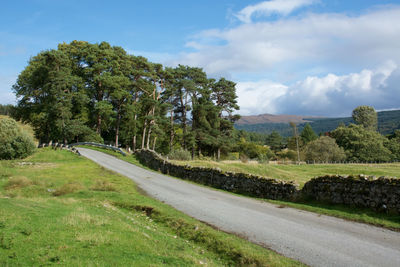 Scenic view of road amidst trees against sky