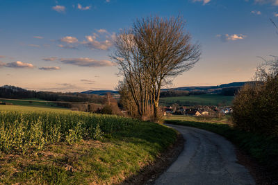 Road amidst trees on field against sky