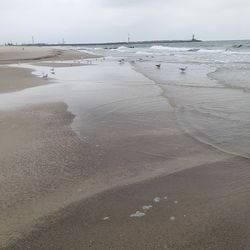 Scenic view of beach against sky