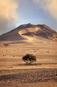 Scenic view of desert against sky