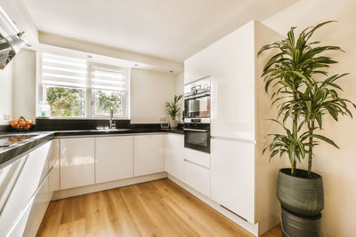 Potted plant in bathroom