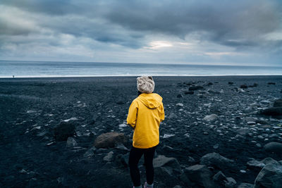 Rear view of man standing on beach