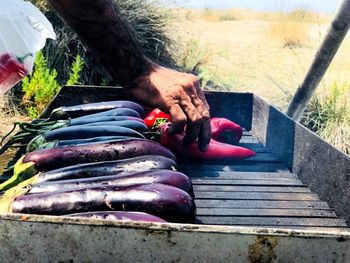 Midsection of man holding fish