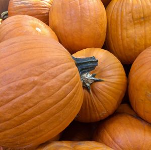 Full frame shot of pumpkins at market stall