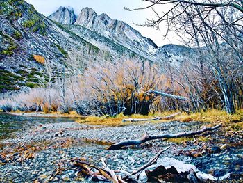 Scenic view of snowcapped mountains during winter
