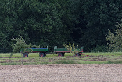 View of a horse on field