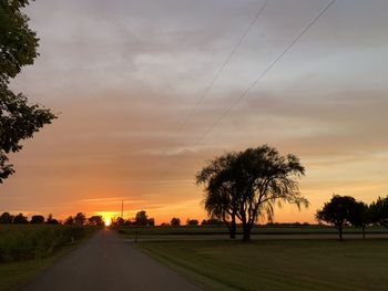 Trees on field against sky at sunset