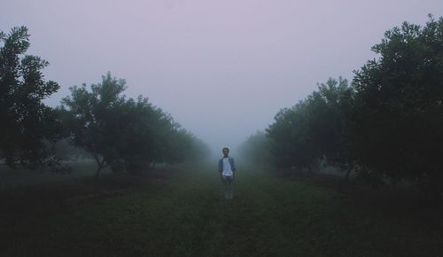 Man standing in misty / foggy field