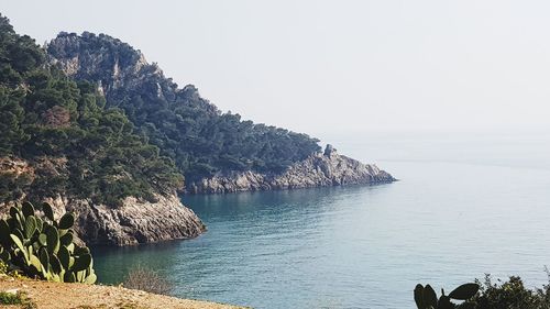 Scenic view of sea against clear sky