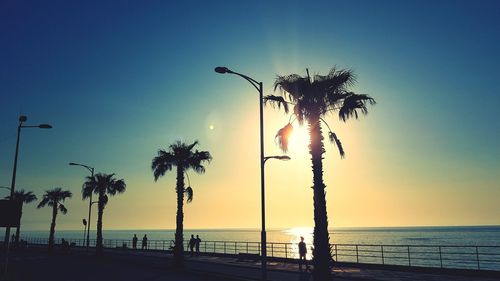 Silhouette palm trees on beach against sky during sunset