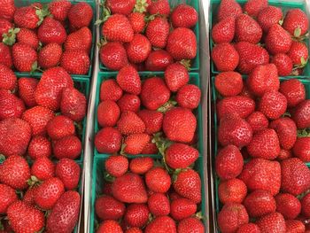 Fresh strawberries at farmers market 