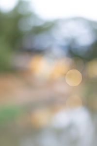 Defocused image of plants