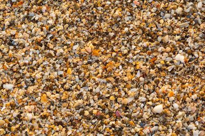 Full frame shot of pebbles on beach