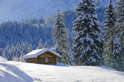 House amidst trees and snowcapped mountains during winter
