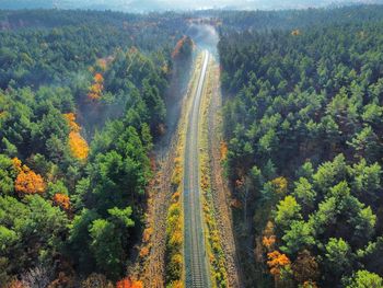 High angle view of road amidst trees in forest