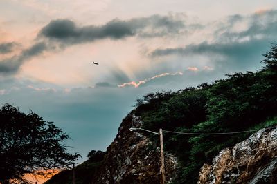 Low angle view of birds flying against sky
