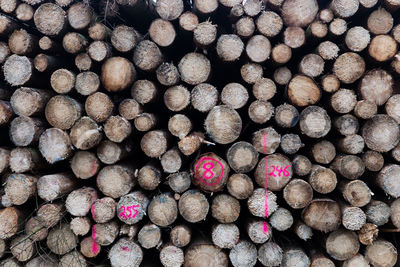 Full frame shot of logs