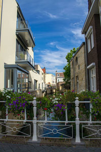 Potted plants on balcony of building