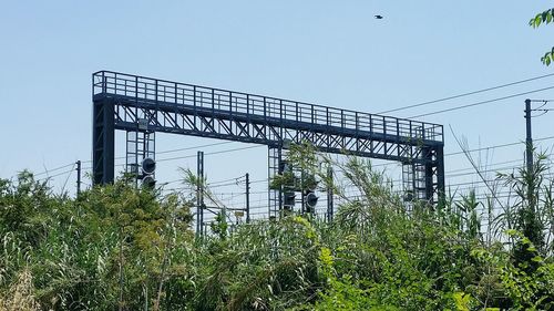 Low angle view of plants against clear sky